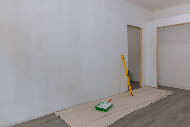 Best Ceiling Drywall Installation  in St Charles, IL